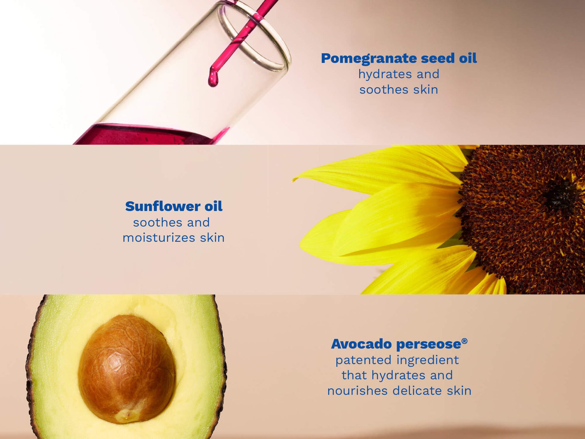 Product packaging with sunflower, avocado, and pomegranate seed oil labels on a beige background.