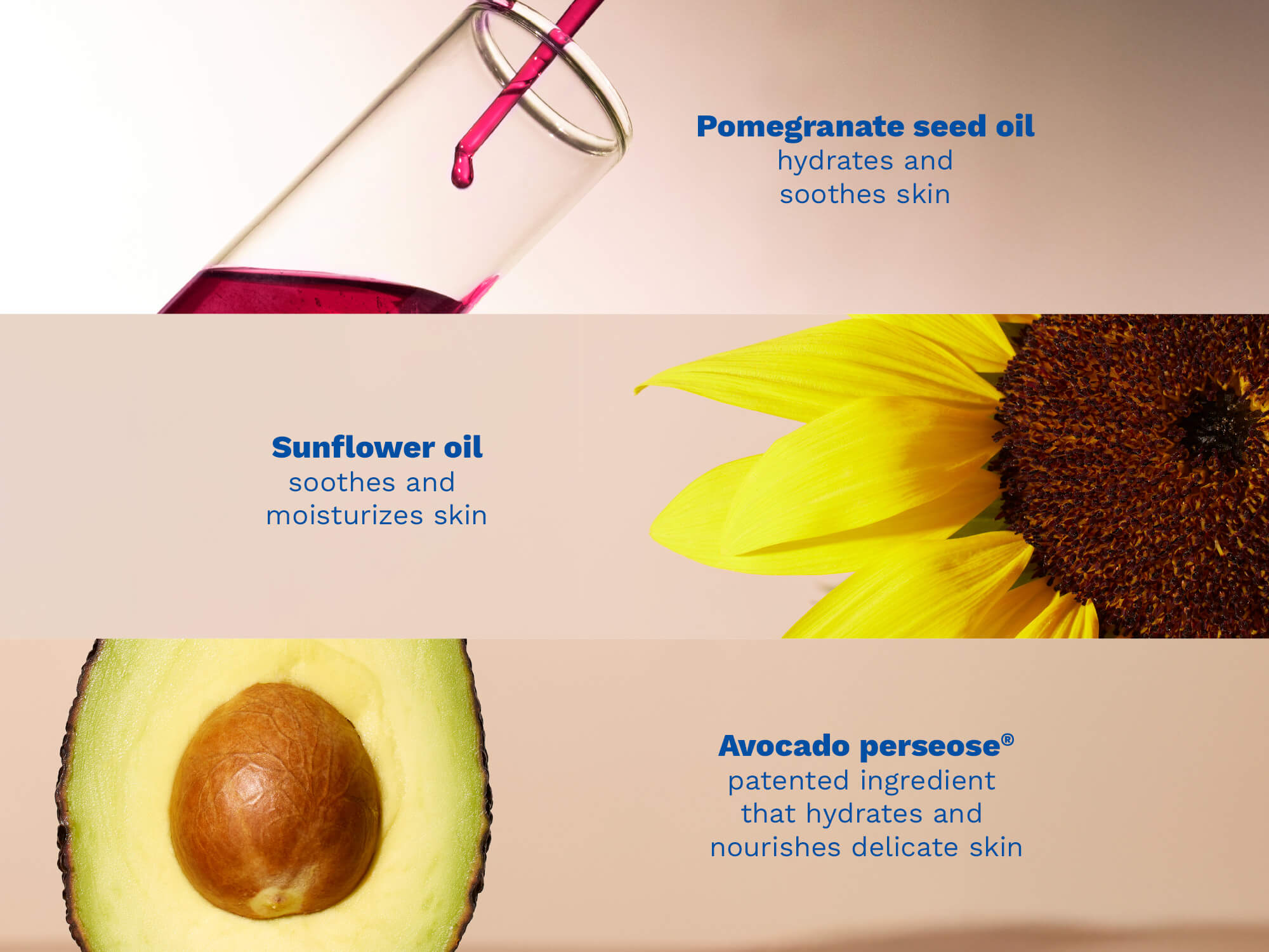 Product packaging with sunflower, avocado, and pomegranate seed oil labels on a beige background.