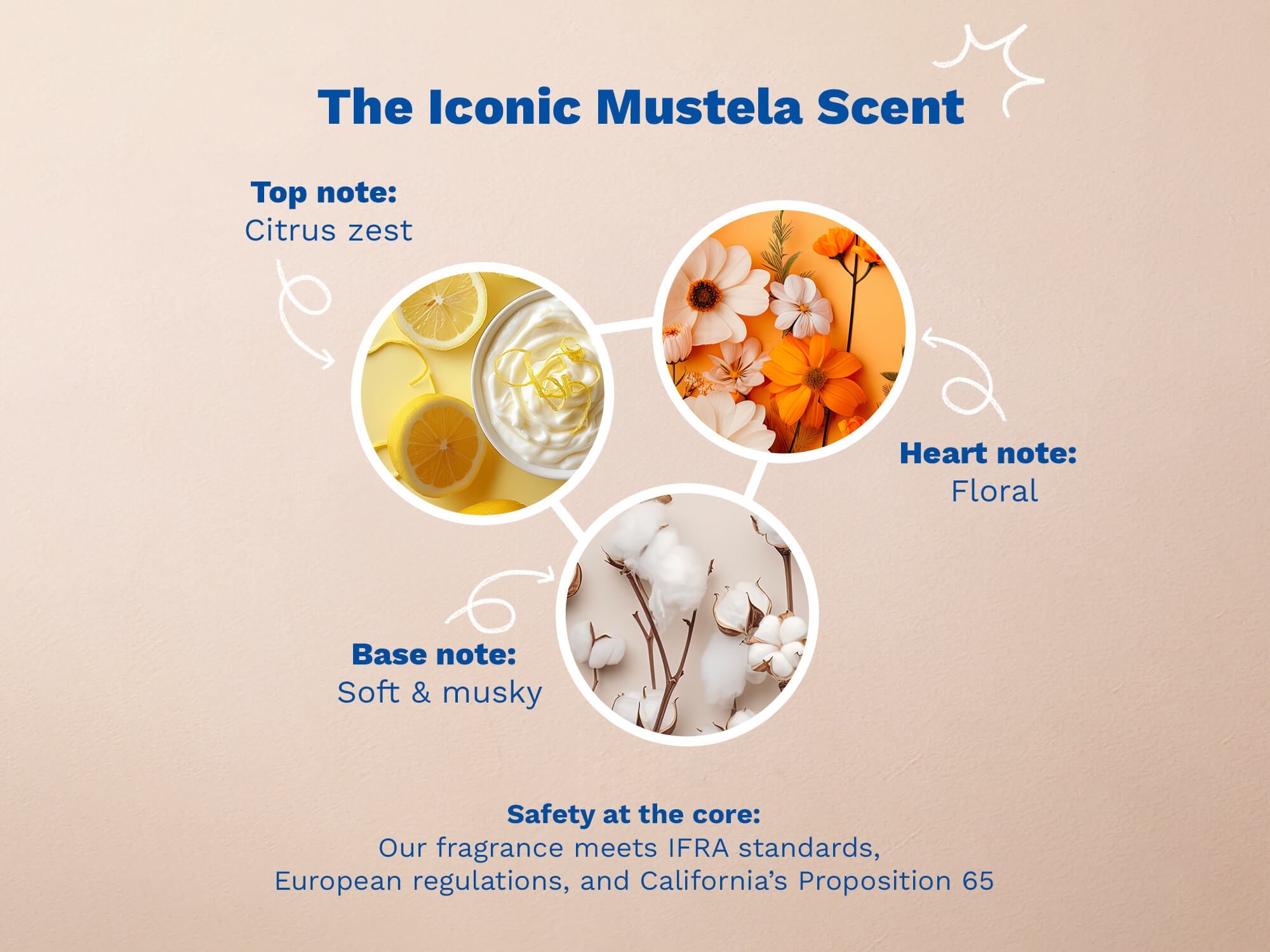 Diagram of Mustela fragrance notes with citrus, floral, and soft musky elements on a beige background.