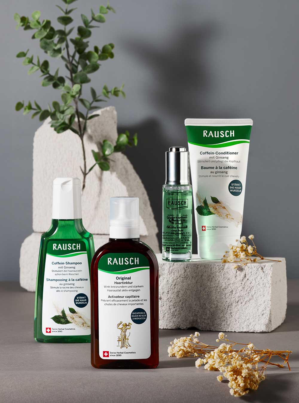 Four Rausch haircare products arranged on a gray studio surface with decorative white blocks, a green plant, and dried flowers. The set includes a green bottle of carbon shampoo, a brown bottle of original treatment, a green bottle of hair developer, and a white tube of caffeine conditioner.
