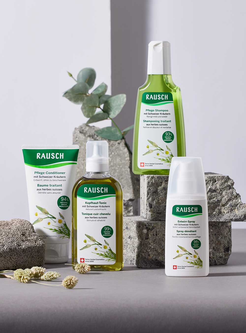 Four Rausch hair care products arranged on and around gray stones: a tube, a pump bottle, a clear bottle with yellow-green liquid, and a cylindrical bottle. The products have white and green labels with botanical illustrations, photographed in a styled studio setup with eucalyptus leaves and dried flowers.